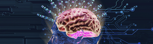 Traumatic Brain Injuries 